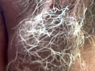 Male Penis and Balls