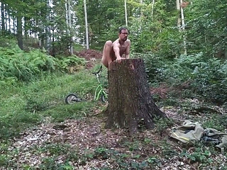 Stump Chase, Part Two