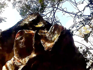 Lovely honey in A village mountain