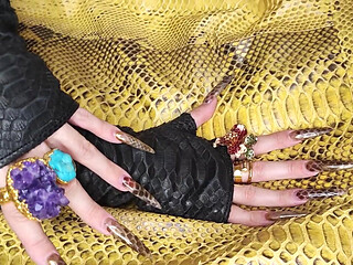 My Extra Long Snakeskin Nails Fuck Your Mind