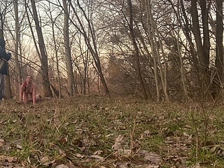 Pet-play - Winter Walk