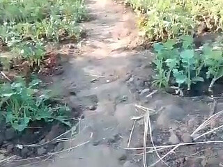 African amateur naked in the bush