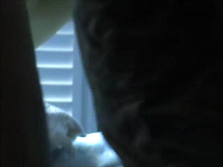 cumming on her husbands pillow