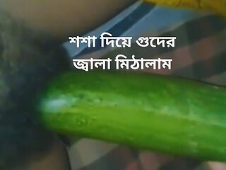 Bangladeshi Sexy Girl Cucumber Hard Masturbate.
