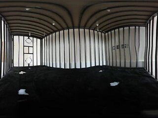 Princess Aurora - Caged in Cum Shower VR 360: Pov, Fetish  Virtual Reality Porn