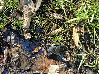 Mud Fun in Rubber Camo Wellies