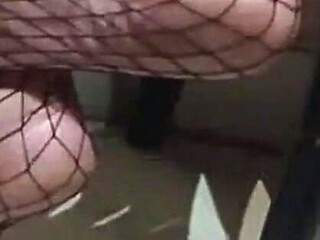 Mel Witch Net Stocking