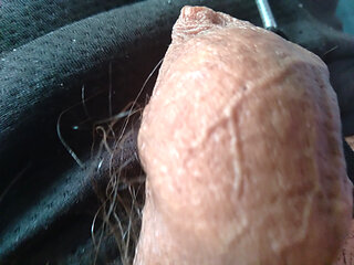 Monster cock wants you to give him a blowjob
