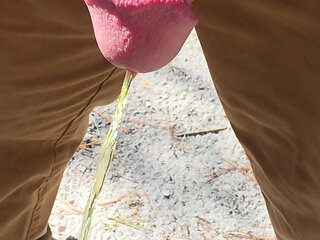 sunny day piss video