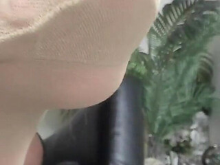 Nylon Socks
