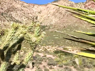 Hiking in thongs leads to wild public sex in Red Rock Canyon
