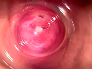 Camera Deep Inside Mia's Vagina