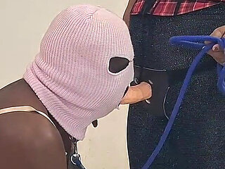 My Pet Needs Attention I Show Him His Place