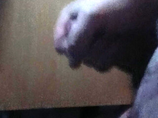 hi everyone here I am times to the view, if I address you write me a mail but everything else you can see then