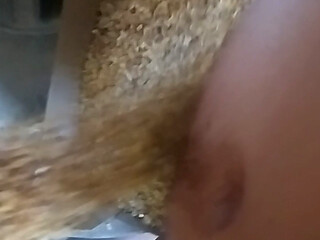 Cock overwhelmed by Wheat