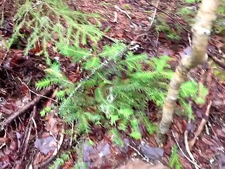 Pussy Pissing Water on the Rock