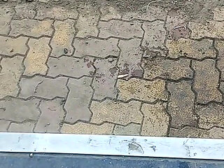 Desi Gay Boy Sucking Wife and Pussy