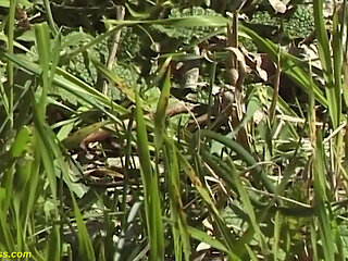 Hairy bush skinny German girl rough big cock outdoor fucked