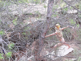 Yoga Routine with a Stranger