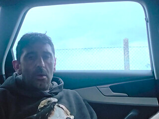 In Public, in the Car
