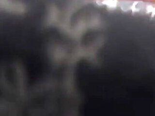 My Favorite Sport Is Fucking (full Movie Centoxcento)