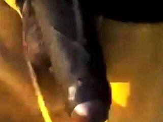 Big Black Cocks Outdoors