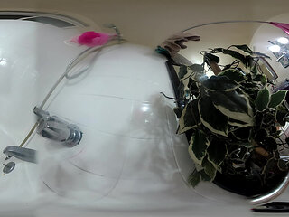 Lizzy Yum VR 2025 Edging #192