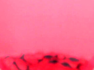 Students Fucked in Tution Batch Hindi Audio