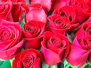 Big ass anal action with Desi Mazaa from Bangladesh