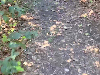 Looking around in the park, found that hungry married man looking for dick.