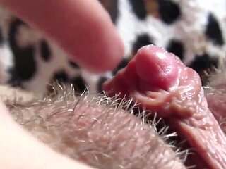 Aroused amateur girl gets horny and caresses her oversized clit