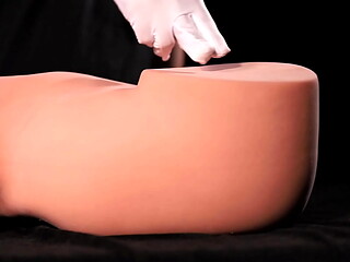 Videos Body Display STPE 160# Torso