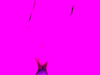 Rubbing My 18yo Italian Cock on This Huge Realistic Dildo Till I Burst Cum Everywhere!