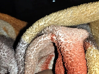 Desi bhabhi ka gand mara