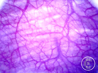 Extreme Bulge inside POV of my Bladder and Urethra