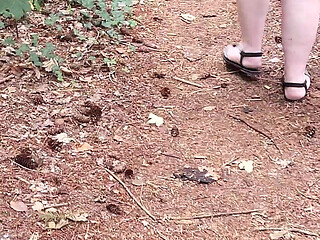 Walk in the Woods Who I Meet Today