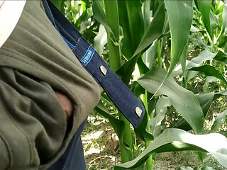 Hairy Gay Porn Videos Handjob and Cumshot on Plants