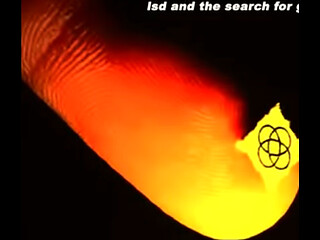 Ssd and the search for god - starting over
