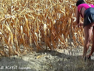 Nothing Better Than an Outing in the Countryside in Corn Field to Do Yourself Good