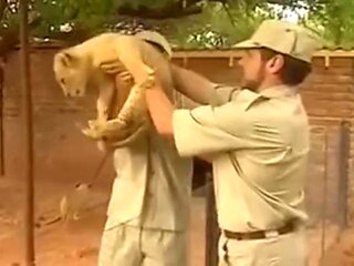 DP IN THE AFRICA