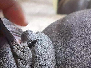 German natural dirty fat pussy teasing closely on camera