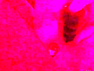 Beautiful Sonya having a horny solo toy masturbation
