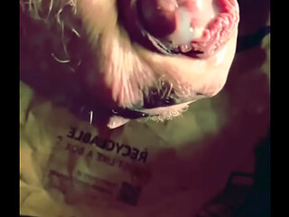 Foreskin Creampie after Long Foreskin Stretch Session