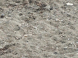 Another Little Bit of Beach