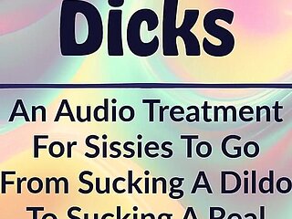 Audio Only - From Dildos to Dicks Sissy Encouragement