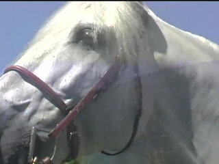 Hot lesbian brunette hardly fucked with a strapon