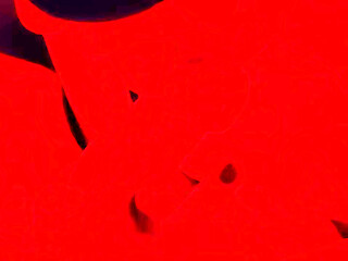 Up Close Blowjob: A Red Light Videos Quickie