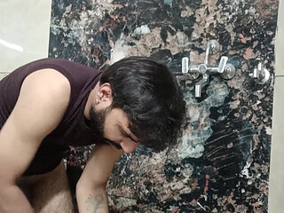 Sex within two love birds