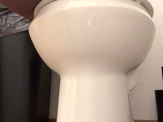 Quick dildo action in the Bathroom