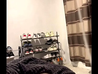 Mis mecos ar&aacute_cnidos